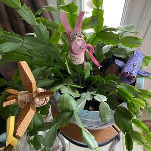 Set of 3 ~ Plant Stakes